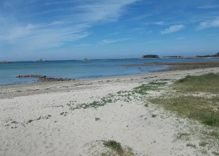 Les Ajoncs